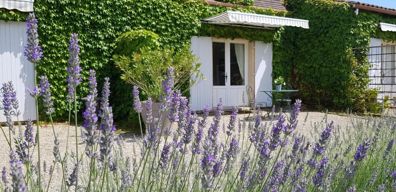 Le Clos-Lascazes maison d'Hôtes Le Buisson-de-Cadouin Exterior foto