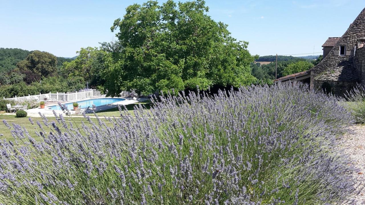 Le Clos-Lascazes maison d'Hôtes Le Buisson-de-Cadouin Exterior foto