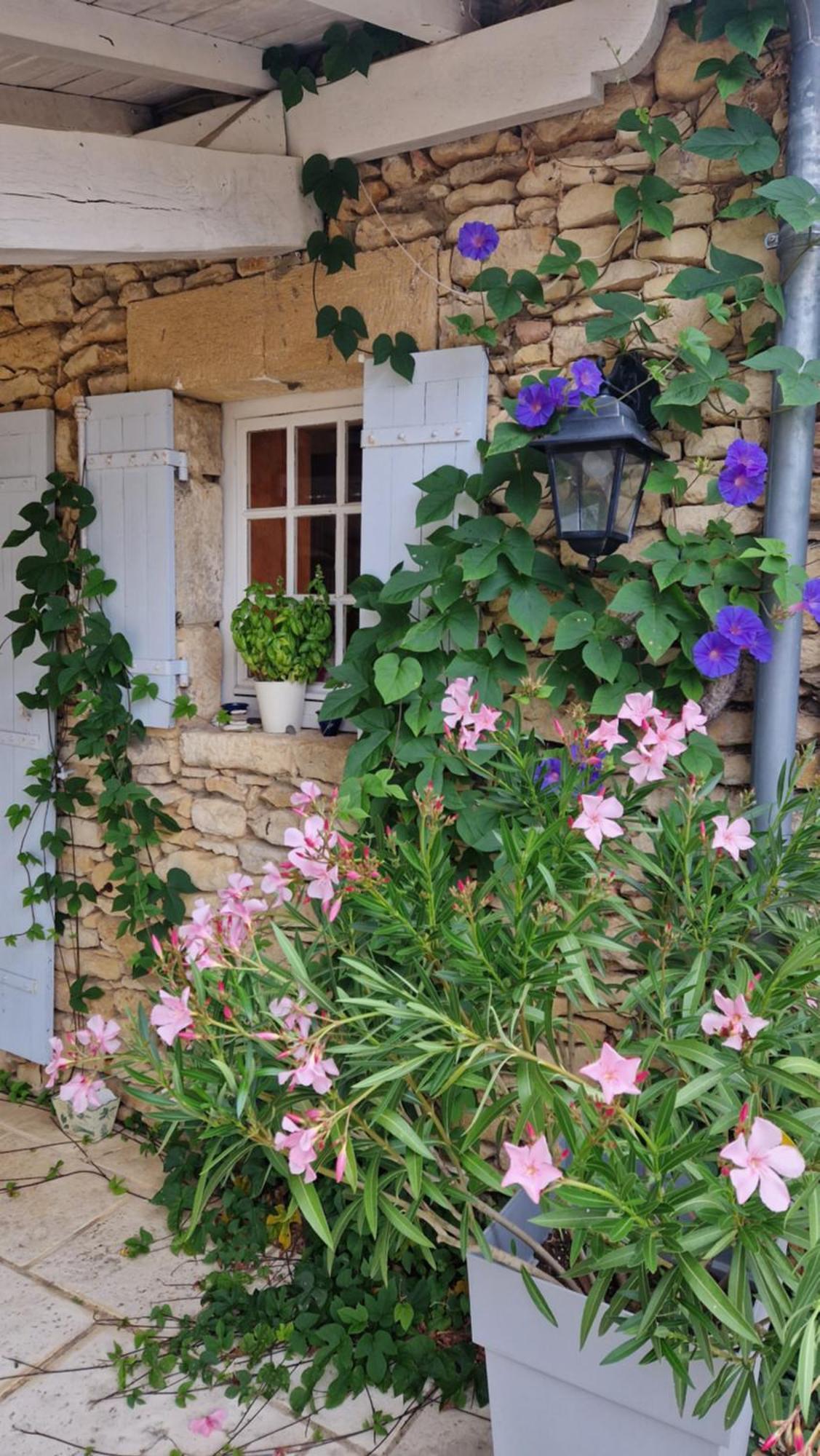 Le Clos-Lascazes maison d'Hôtes Le Buisson-de-Cadouin Exterior foto